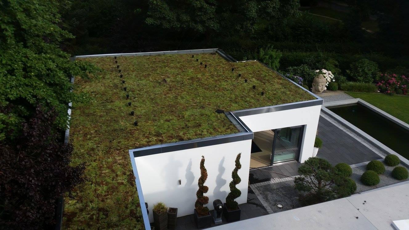 Referenzprojekt Gründach von Krutemeier Bedachungen